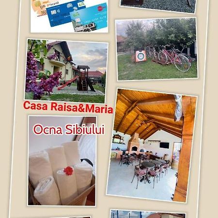ホテル Casa Raisa & Maria オクナ・シビウルイ エクステリア 写真